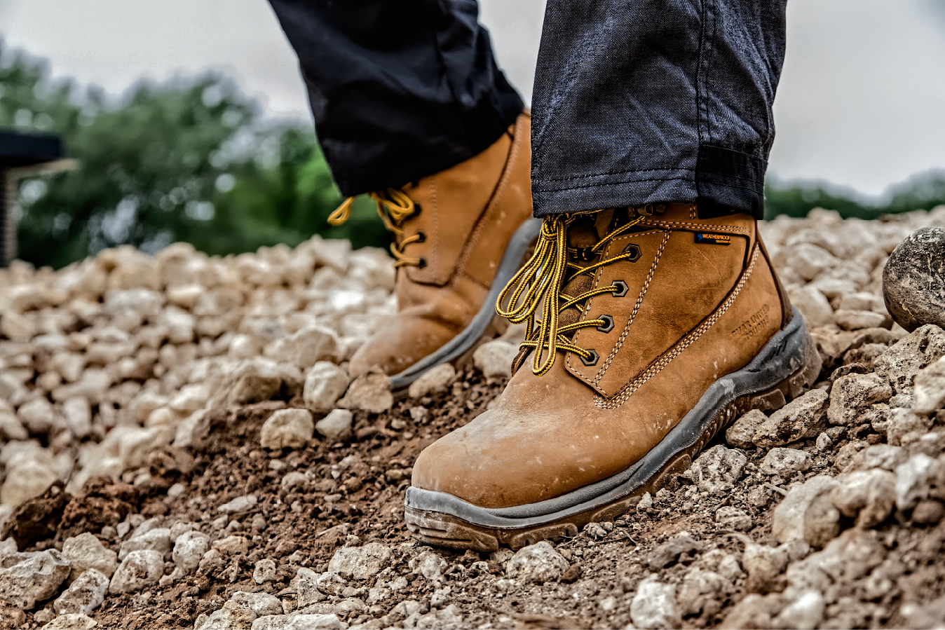 DeWalt - Titanium Wheat 6&