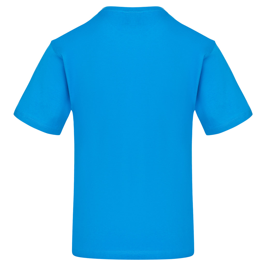 Orn Plover T-Shirt - Reflex Blue - 1000 - - Customisable T-Shirts &amp; Poloshirts