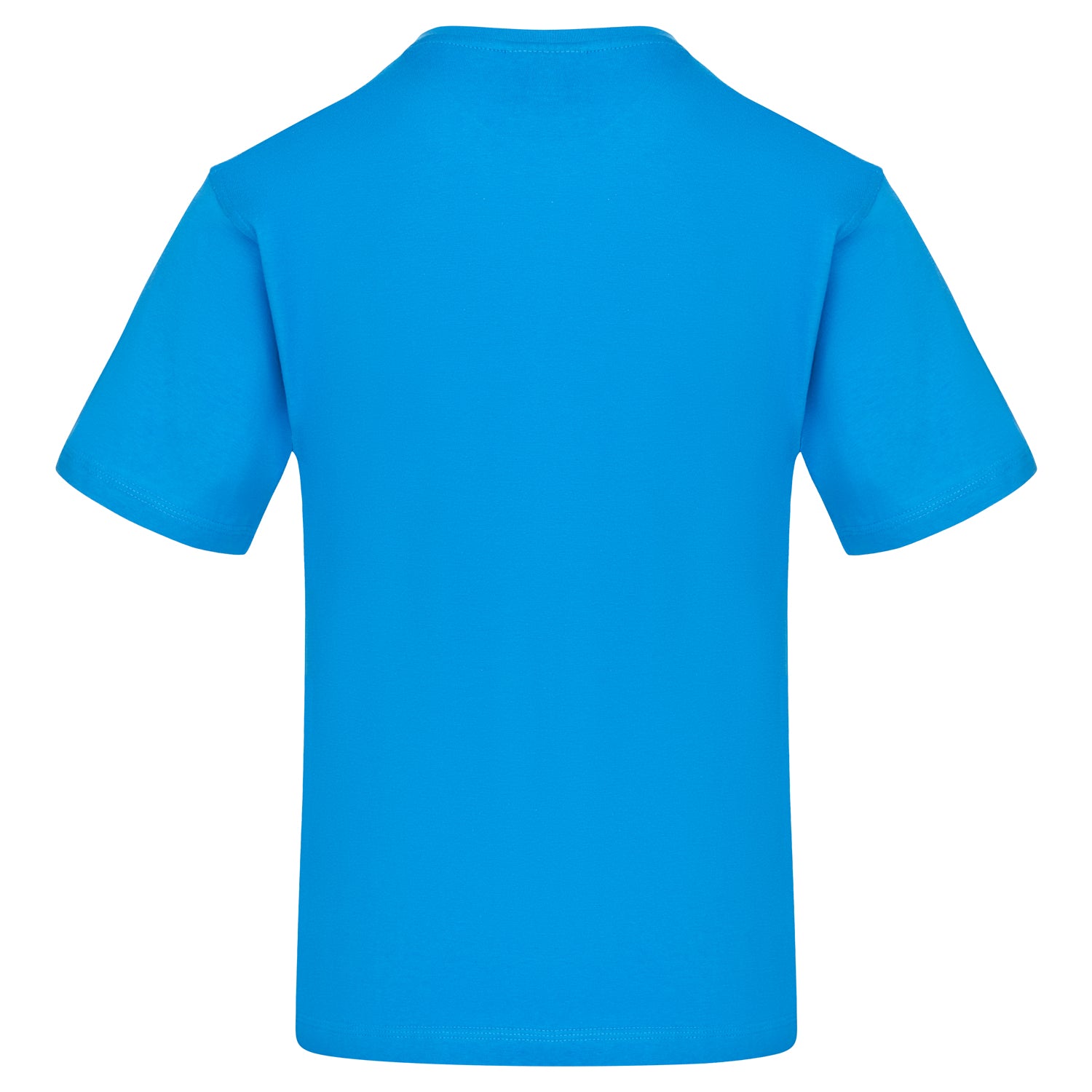 Orn Plover T-Shirt - Reflex Blue - 1000 - - Customisable T-Shirts &amp; Poloshirts