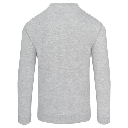 Orn Kite Sweatshirt - Ash - 1250 - - Customisable Sweatshirts &amp; Hoodies