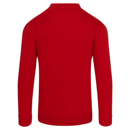Orn Kite Sweatshirt - Red - 1250 - - Customisable Sweatshirts &amp; Hoodies