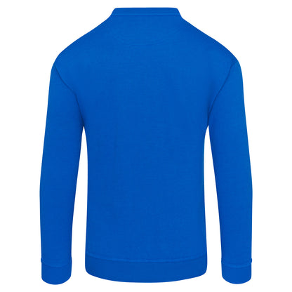 Orn Kite Sweatshirt - Royal - 1250 - - Customisable Sweatshirts &amp; Hoodies