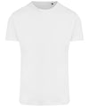 Arctic White