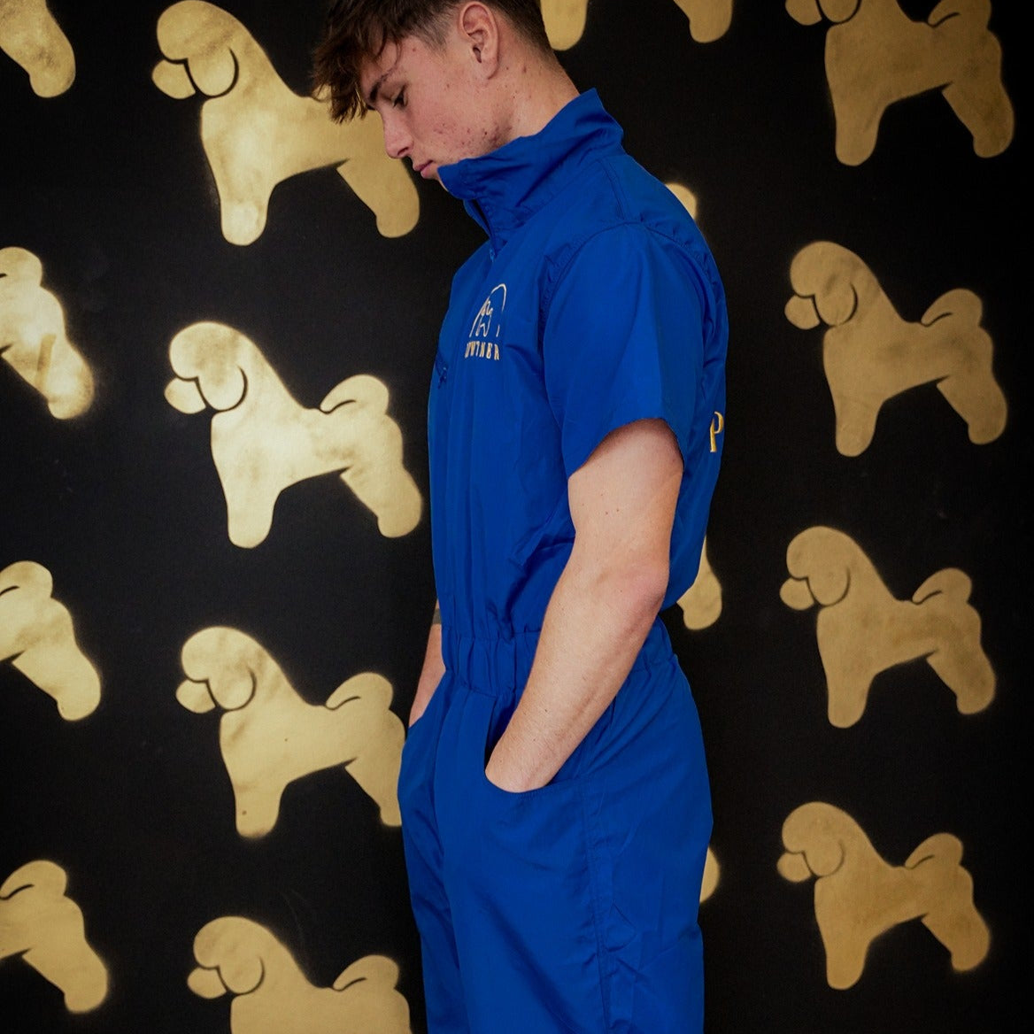 Pewtsuit Unisex - Dog Grooming Jumpsuit/ Overall - - Customisable Workwear