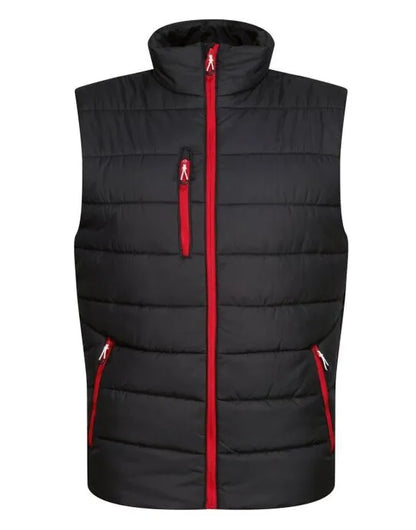 Regatta Professional Regatta Mens Navigate Thermal Bodywarmer TRA892