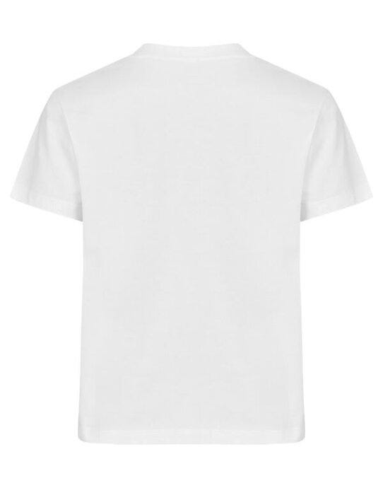 Clique Over T Cq029390