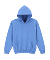 Carolina Blue