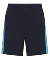 Navy/Sky