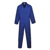 royal-blue