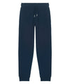 French Navy