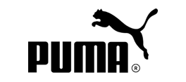 Puma Safety