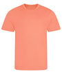 Peach Sorbet