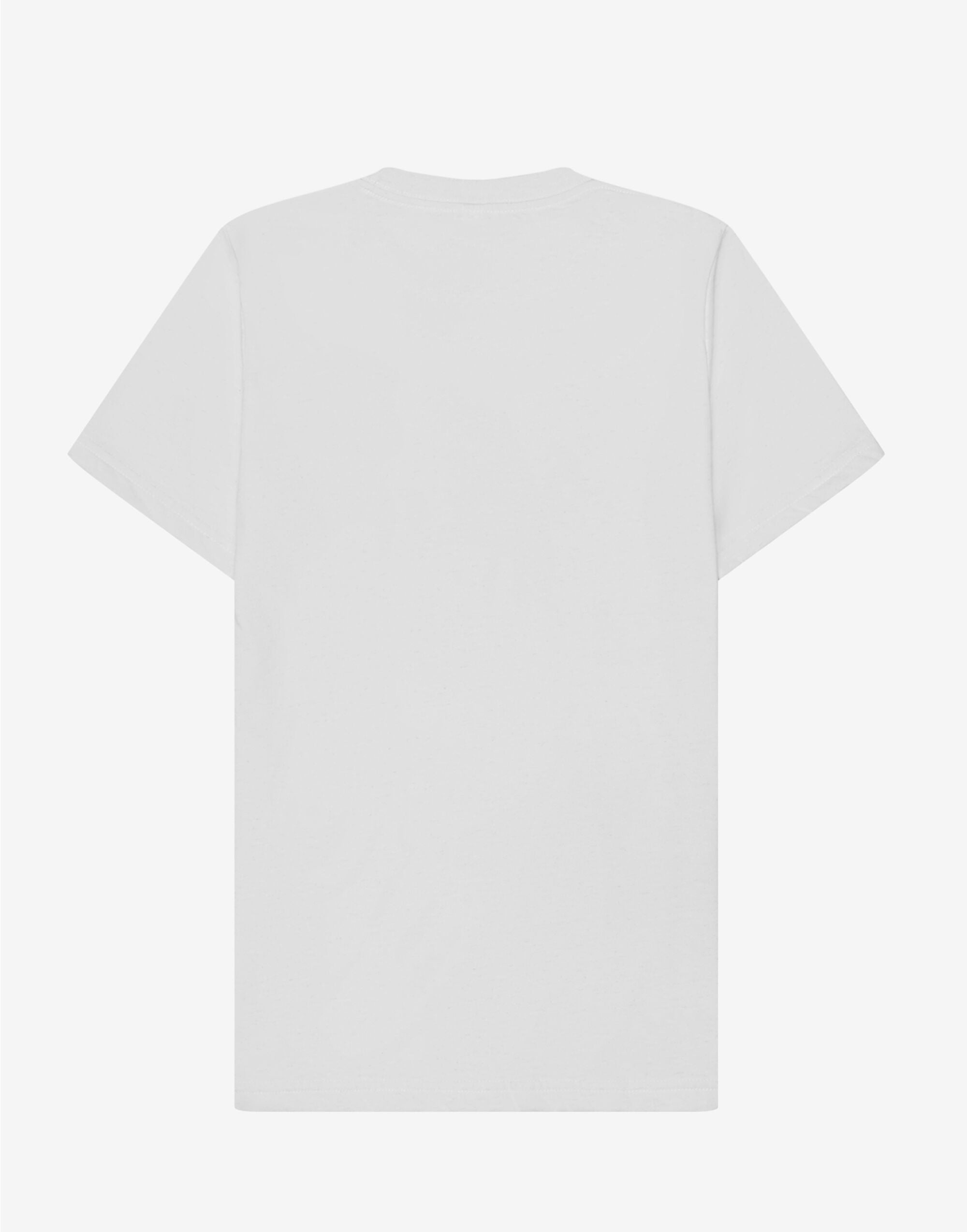 Bella Canvas Unisex EcoMax Short Sleeve Tee CA3001ECO - White - Customisable T-Shirts